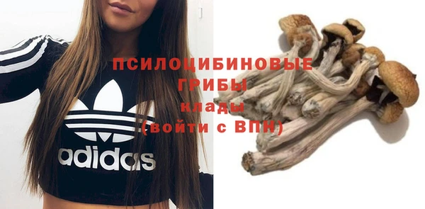 крисы Бугульма