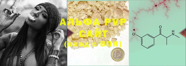 mdpv Бородино