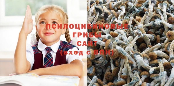 mdpv Бородино