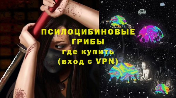 mdpv Бородино