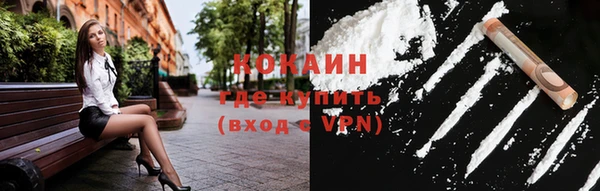 mdpv Бородино