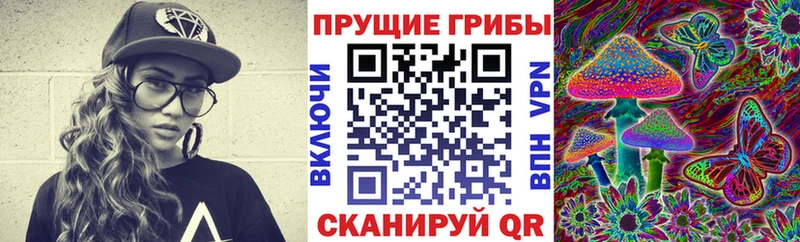 Псилоцибиновые грибы Magic Shrooms  Ставрополь 